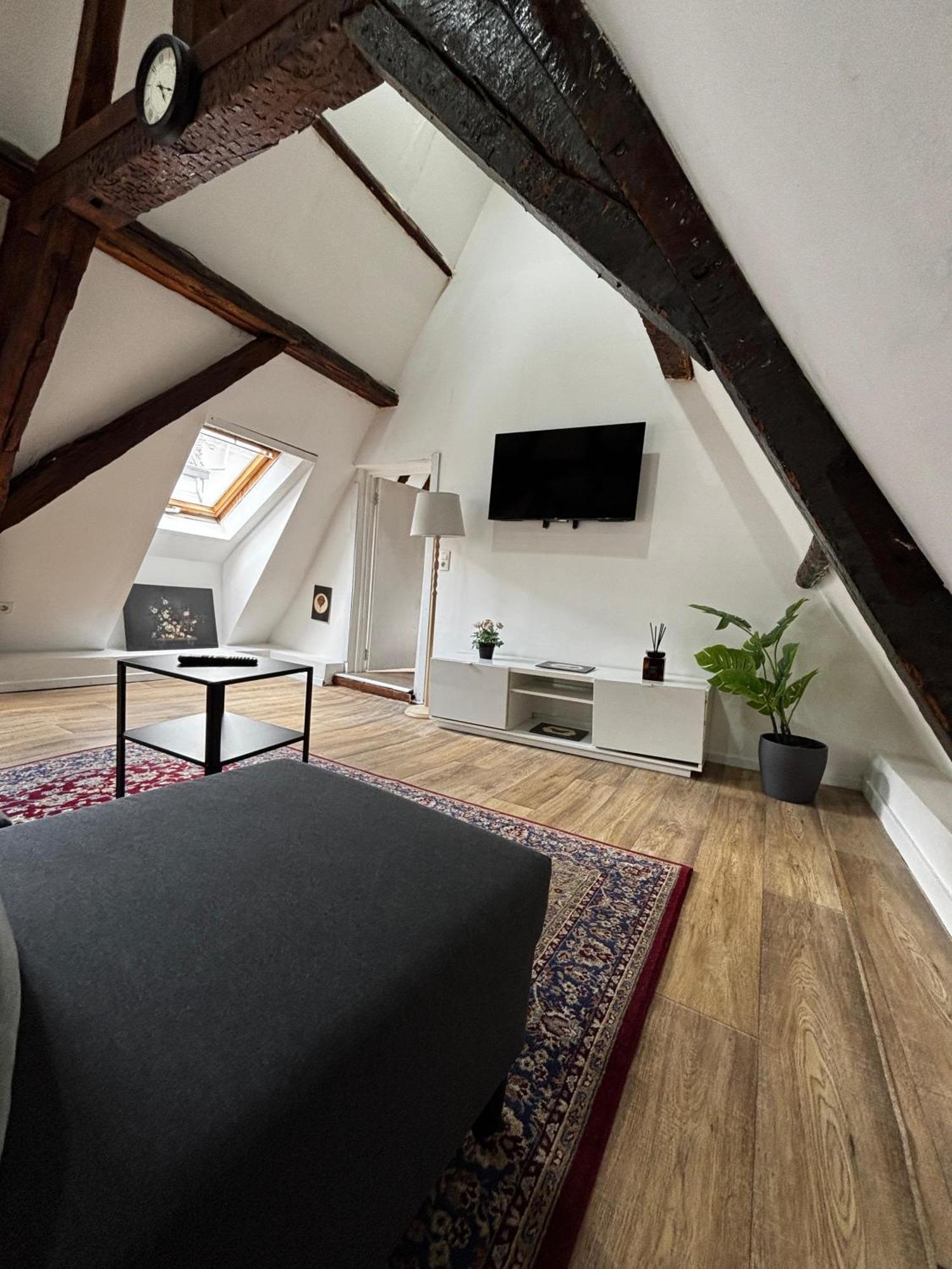Stylish Canal-side 2br-1lr Apt, At Center Of Appartement Gand